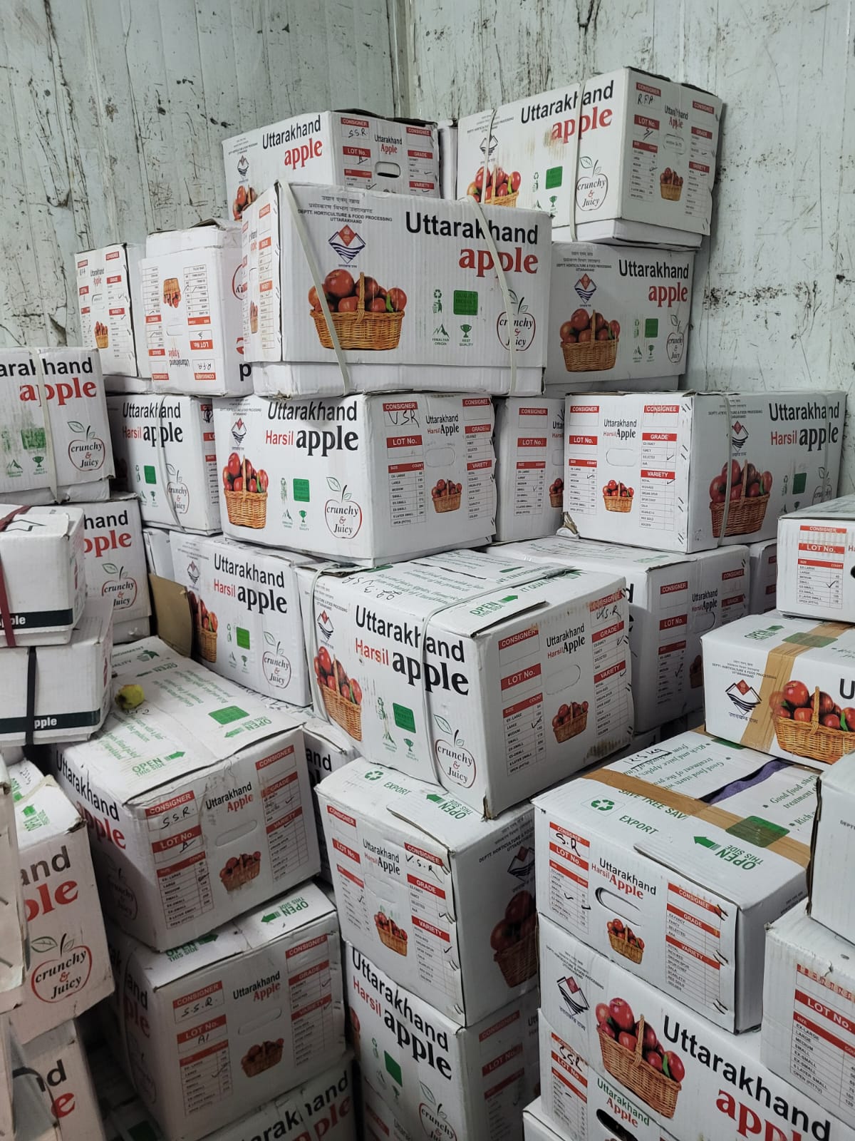 Premium Export