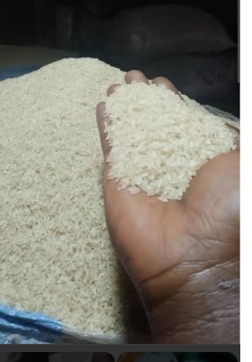 Rice Quality Sample